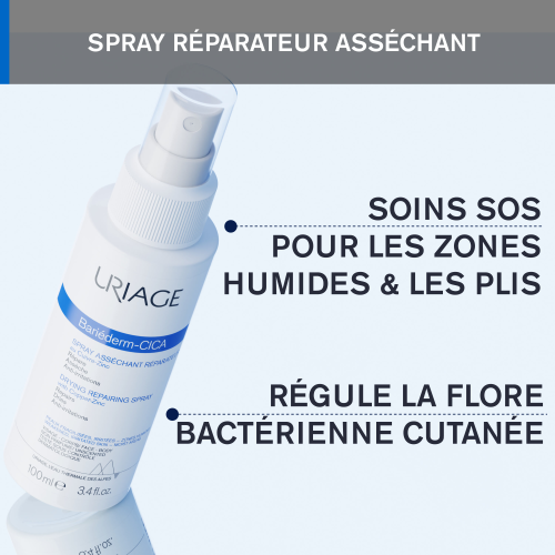 BARIÉDERM-CICA Spray Asséchant Réparateur au Cuivre-Zinc