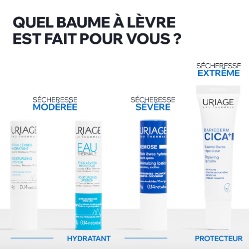 BARIEDERM CICA+ - BAUME LÈVRES RÉPARATEUR