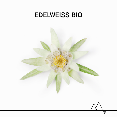 edelweiss-bio