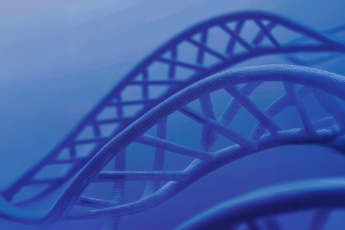 Collagène et perte de densité : comment accompagner la peau avec l’âge ?